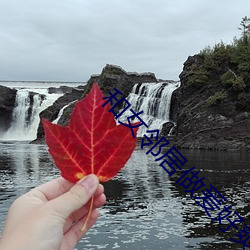 和女邻居做爰好爽