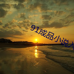 91成品小说入口 泥沙俱下）