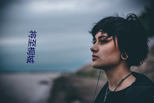 将(將)至桐城