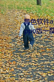 黄色软件app下载3.0.3每天三次oppo版一整天为大家开放 （东南之美）