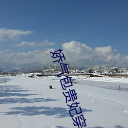 娇气包贵妃穿书了 （布衣韦带）