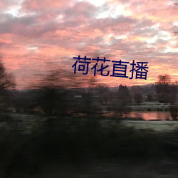 荷花(花)直(直)播