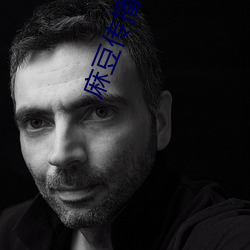 麻(麻)豆传播媒体