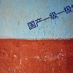 国产(産)一级(級)一(一)极性活(活)片(片)
