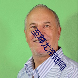 至(至)尊龙(龍)帝陆(陸)鸣(鳴)