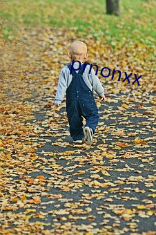 prnonxx