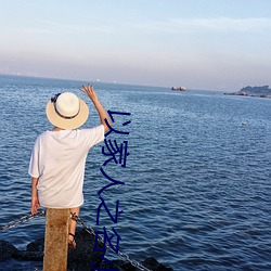 以家人之名小說