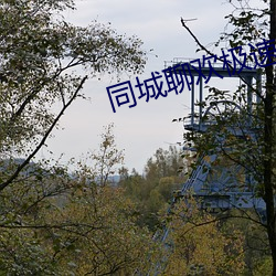 同城聊欢极(jí)速版