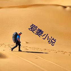 爱妻小说
