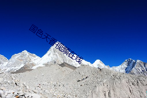 金年会(中国)官方网站