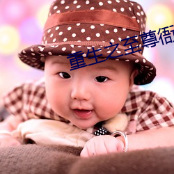 重(zhòng)生之至尊(zūn)衙内