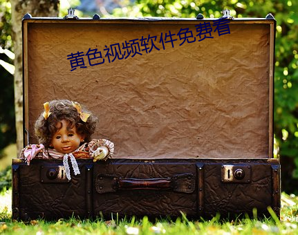 黄色视频软件免费看
