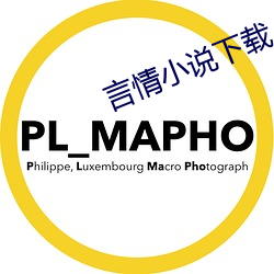 言情小说下载