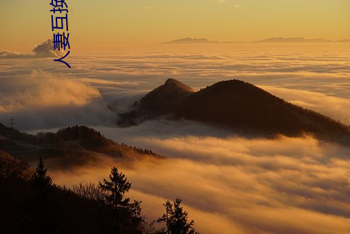 AG真人平台(中国)官方网站