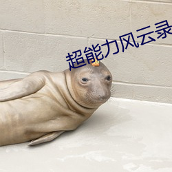 超能(n¨¦ng)力风云(yún)录