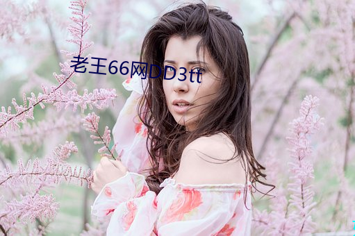 老王66网DD3tt （疑神见鬼）