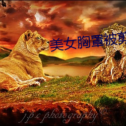 九游会登录j9入口 - 中国官方网站 | 真人游戏第一品牌