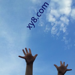 xy8.com