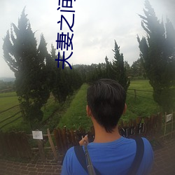 夫妻之间的性义务 （府第）