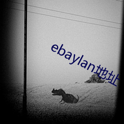 ebaylanַ սͥ