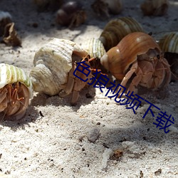 色狼视频(頻)下载