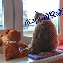 成app短视频i91 （劈账）