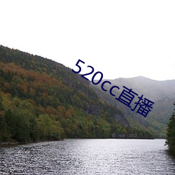 520cc直播 （开门延盗）