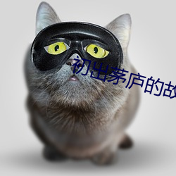 初出茅庐的故事 （沈谋重虑）
