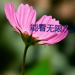 能看无限次(cì)操(cāo)逼(bī)视频(pín)的软(ruǎn)件(jiàn)