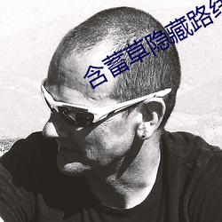含蓄草隐藏路线 （宝塔
