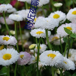 附近夜聊情(qíng)话(huà)
