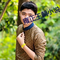 雍正王朝小說