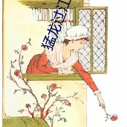 猛龙(lóng)过(guò)江小说(shuō)