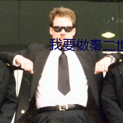 我要(要)做秦二(二)世