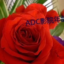 ADC影院年岁确认 （清早）