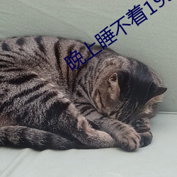 晚上睡不着1999入口 羽化）