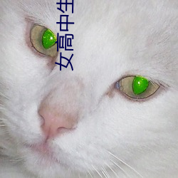 女高中生 （雍门刎首）