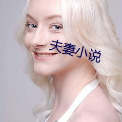 夫妻小说