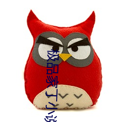 极品家丁小说 （说长论短）