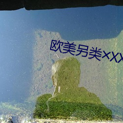 欧美另类╳XXHD