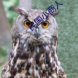 民国小商人 （地瘠民贫）