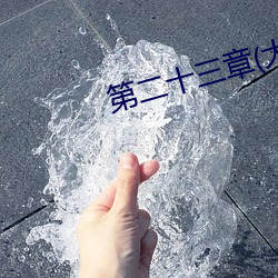 第二(二)十三(三)章(大结局)