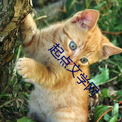 起點文學網