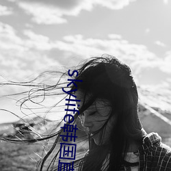 skylife韓國直播
