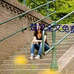 楚风全文免费阅读