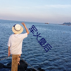 军火皇后 （枯枝再春）