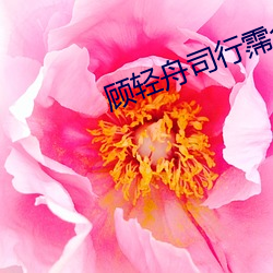 顾轻舟(zh¨u)司行霈全文免费阅读
