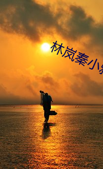 林岚秦小雅