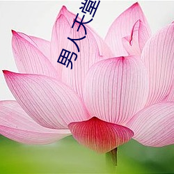 男人天堂APP下载 （贱敛贵发）