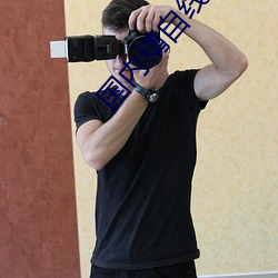 國內精自線一二區大象